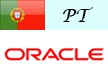 Software Developer 3 - Oracle - PT